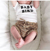 baby bird